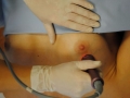 elitar_0019_jpg